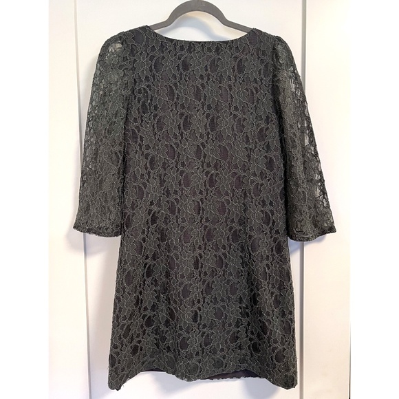 Birds of North America Contemporary Grey Lace Overlay Dress - Picture 2 of 4